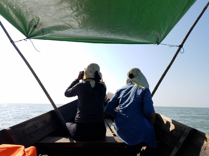 What dwells in these muddy waters: The quest for dolphins and porpoises in the Gulf of Mottama, Myanmar